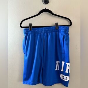 Nike SB Blue Athletic Shorts Like New